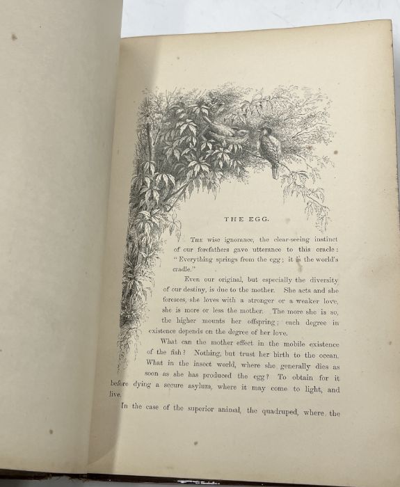 A collection of books on natural history including: British Wild Flowers by J.E. Sowerby pub. - Image 13 of 16