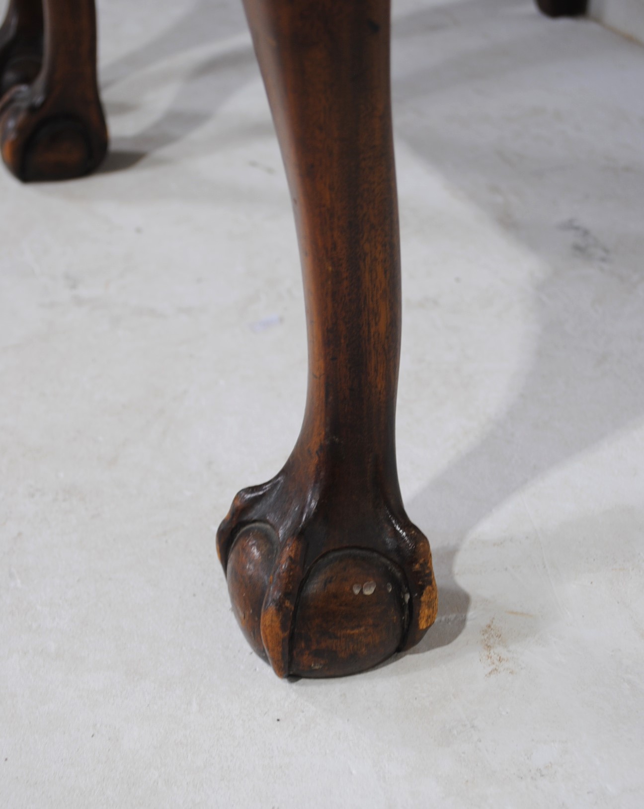 A set of four Hepplewhite style carver chairs raised on claw and ball feet - Image 5 of 7