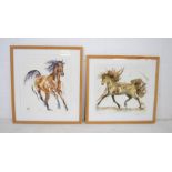 Two framed watercolours of horses by Yvonne Edwards, 'Trotting' and 'Cantering', dated 2008