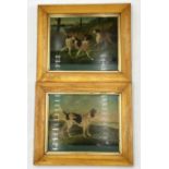 A pair of framed prints of pointer dogs entitled "Royal" and "Pointers, the property of Colonel