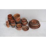 A quantity of various sized terracotta garden pots