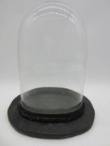 A vintage glass dome on replacement stand (some chips to dome) total height 31cm