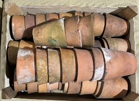 A collection of small Victorian terracotta pots