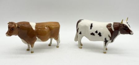 Two Beswick Bulls comprising of Guernsey bull "Sabrina Sir Richmond" and Ayrshire bull "CH Whitehill