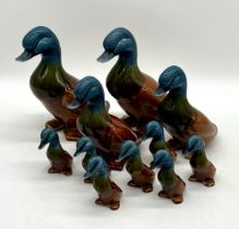 A collection of eleven ceramic ducks (largest duck has repair to neck).