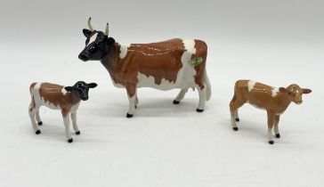 A Beswick pottery figure of an Ayrshire cow "Ickham Bessie" and calf along with a Guernsey Calf