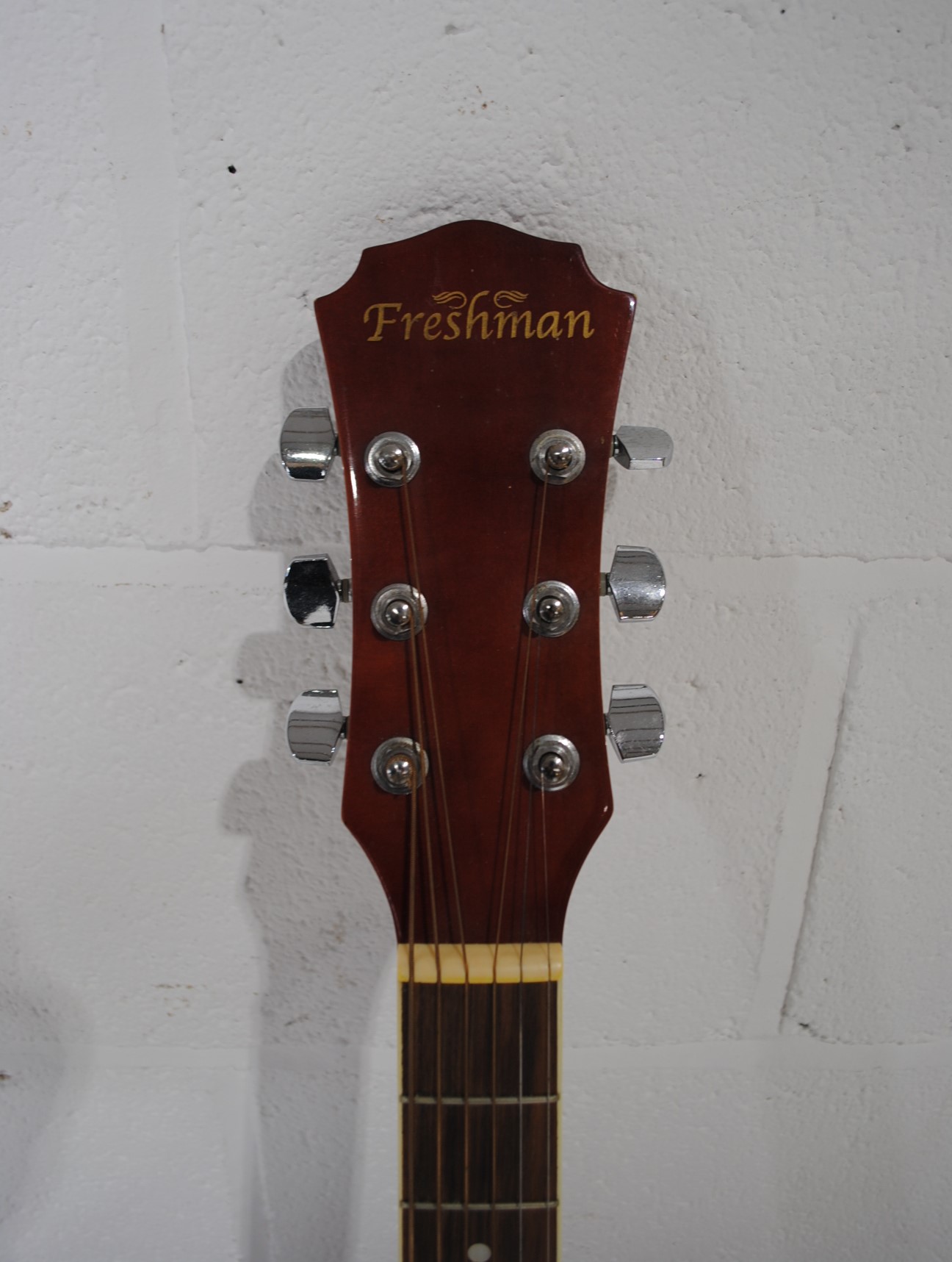 A Freshman six string acoustic guitar, with soft case and accessories - Image 7 of 10