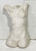 A plaster cast model of a female torso