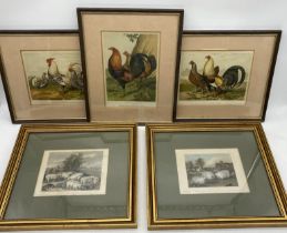 A set of three Leighton Brothers hand coloured prints of cockerels along with two antique prints