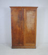 A pine two door cupboard - length 116cm, depth 55.5cm, height 183cm