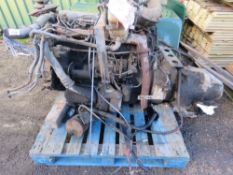 BEDFORD 500 SERIES DIESEL 6 CYLINDER ENGINE PLUS GEARBOX. THIS LOT IS SOLD UNDER THE AUCTIONEERS