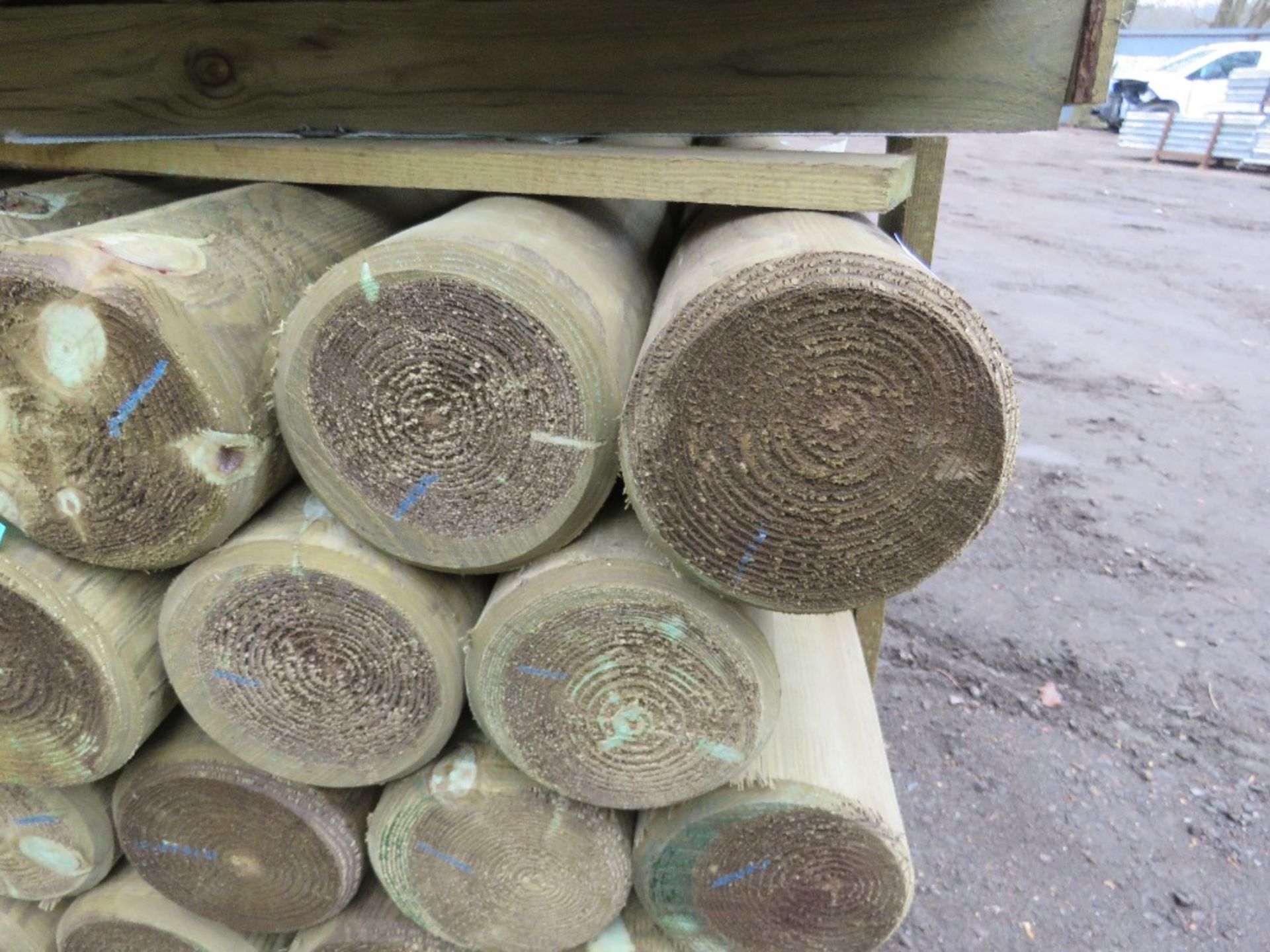 PACK OF 28NO HEAVY DUTY PRESSURE TREATED TIMBER FENCE POSTS, 2.4M LENGTH 150MM DIAMETER WITH A POIN - Image 3 of 3