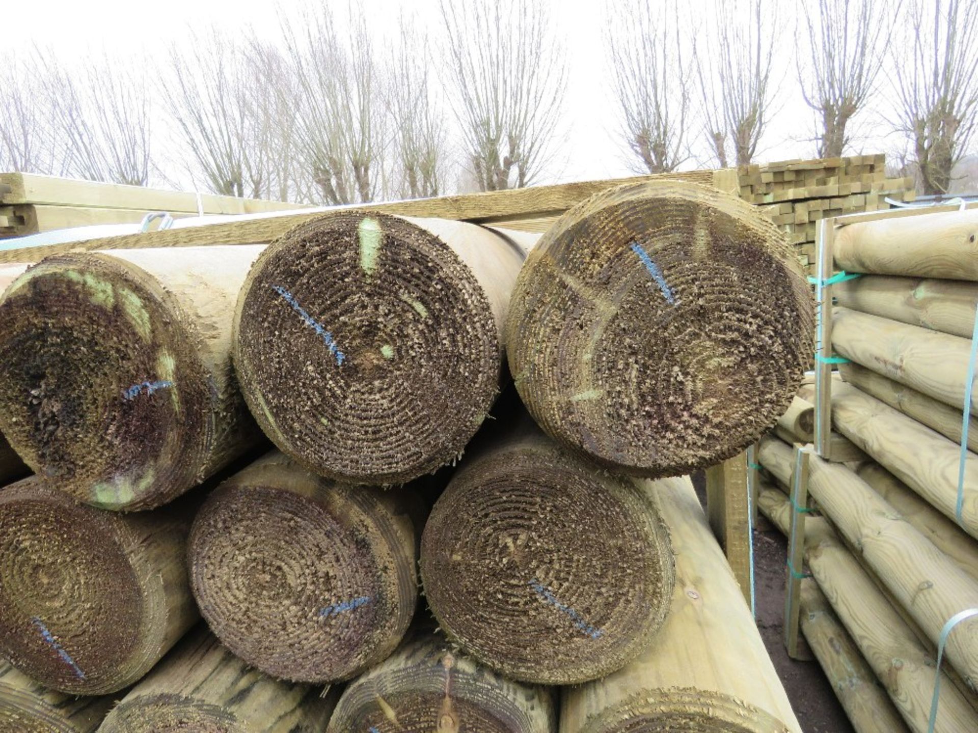 PACK OF 28NO HEAVY DUTY PRESSURE TREATED TIMBER FENCE POSTS, 2.4M LENGTH 150MM DIAMETER WITH A POIN - Image 3 of 3
