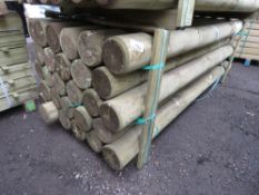 PACK OF 28NO HEAVY DUTY PRESSURE TREATED TIMBER FENCE POSTS, 2.4M LENGTH 150MM DIAMETER WITH A POIN