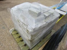 PALLET OF LIGHTWEIGHT BLOCKS: 100 X 215 X 65 APPROX.