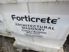 4 X PACKS OF FORTICRETE ARCHITECTURAL WHITE MASONARY BRICKS/BLOCKS WITH TEXTURED FACE. 30CM LENGTH X