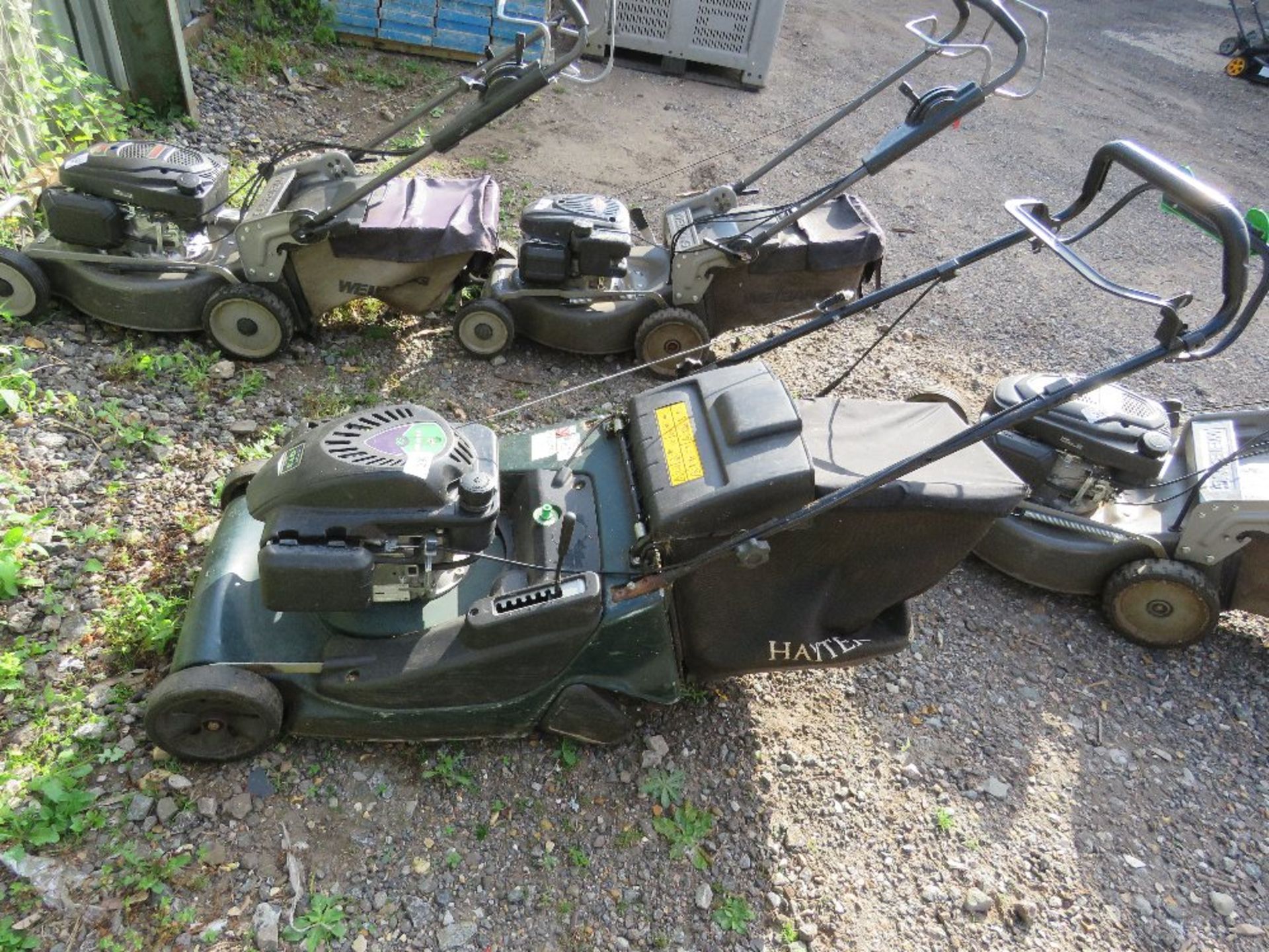 HAYTER HARRIER 56 ROLLER SELF DRIVE LAWNMOWER WITH COLLECTOR, YEAR 2021 . DIRECT FROM LOCAL LANDSCA - Image 2 of 3