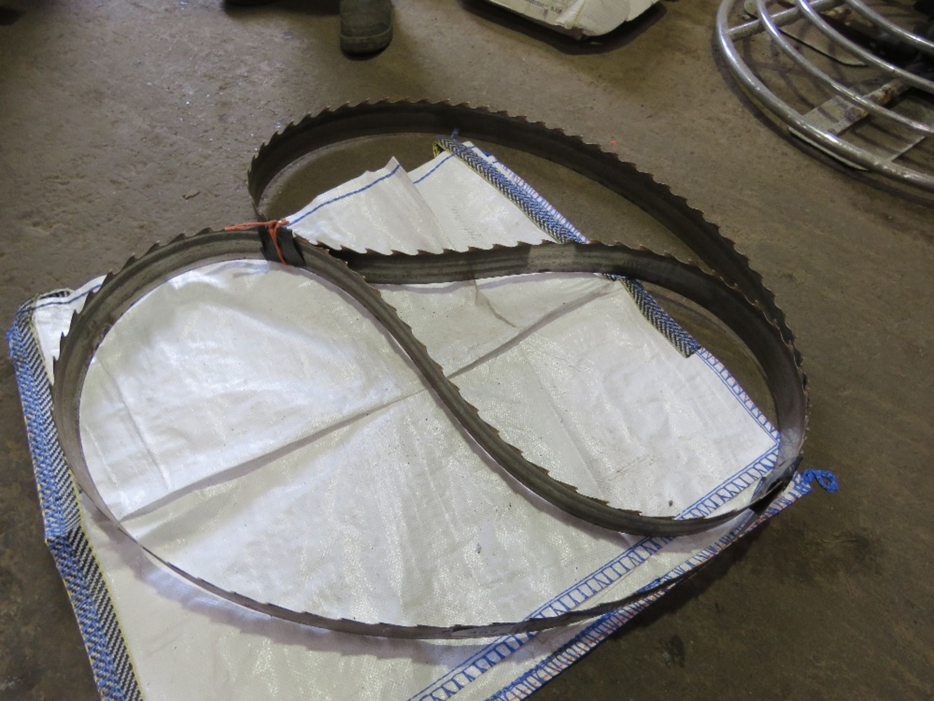 LARGE TOOTHED WOOD CUTTING BANDSAW BLADE.