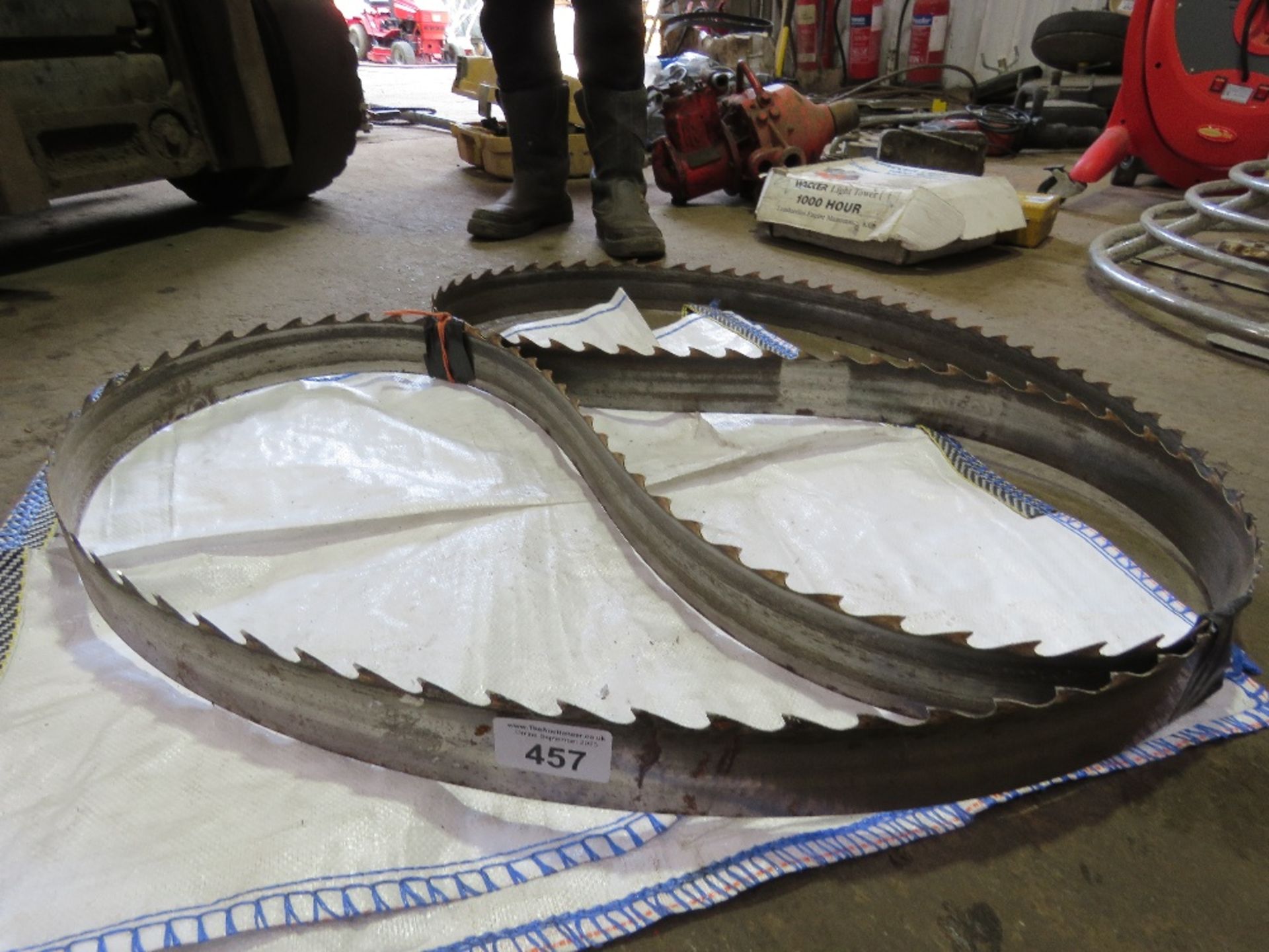 LARGE TOOTHED WOOD CUTTING BANDSAW BLADE. - Image 2 of 2