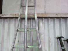 SET OF LIGHTWEIGHT TRIPOD TREE SURGEONS STEP LADDERS.