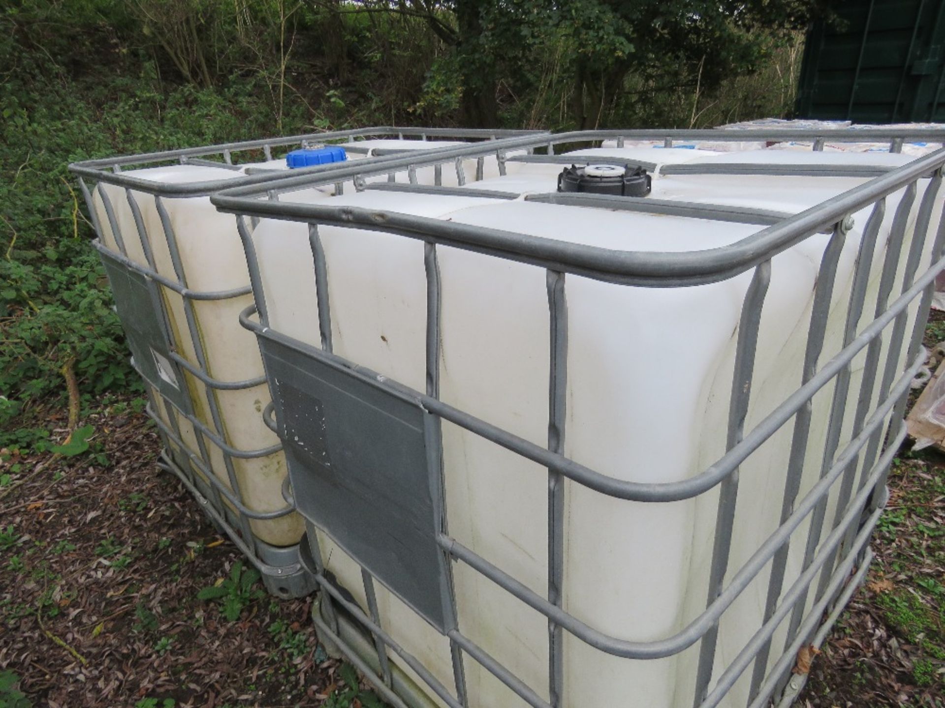 2X IBC CONTAINERS - Image 2 of 3