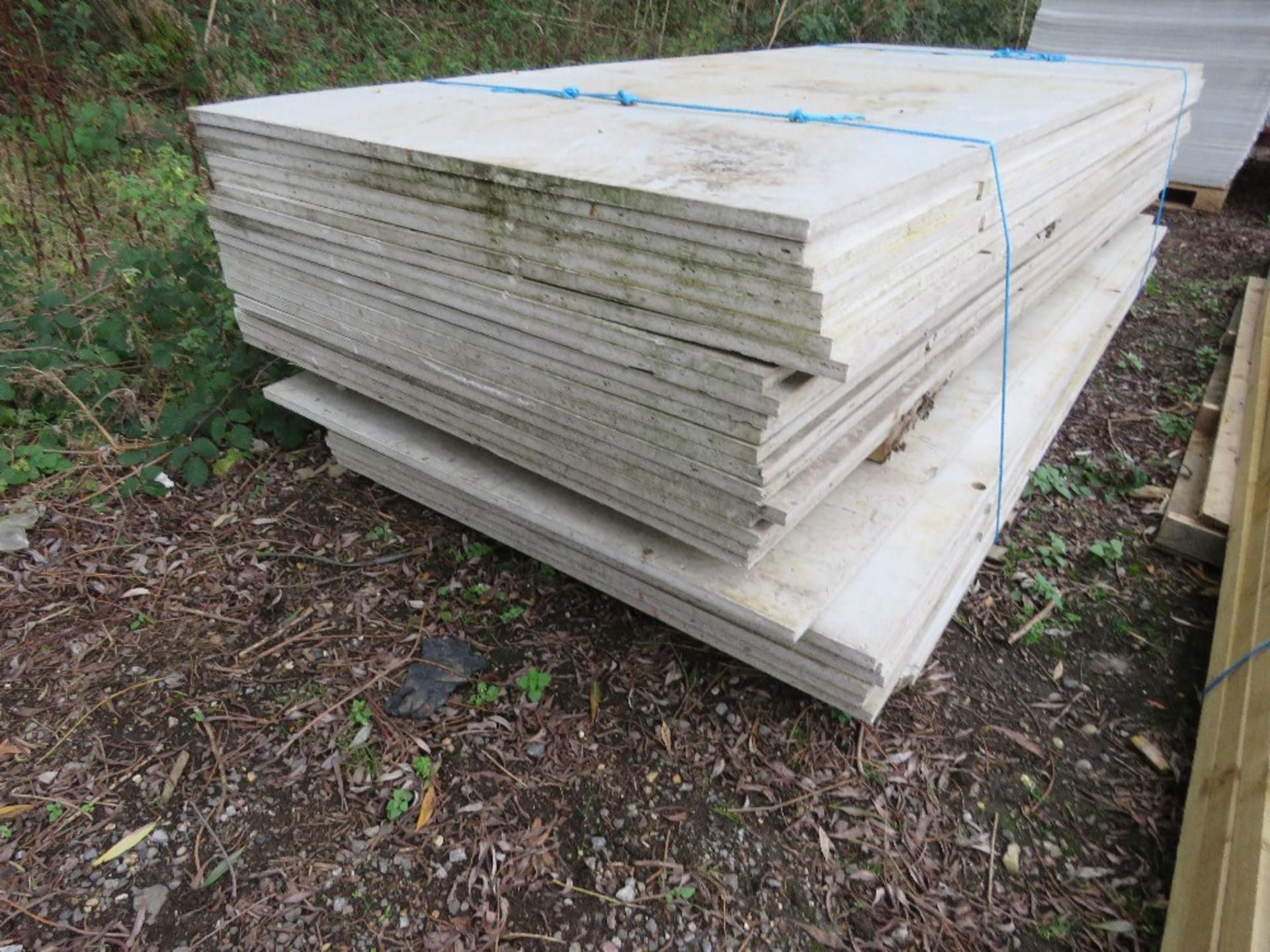 28NO COMPOSITE / PLASTIC COATED BOARDS 1.24M X 2.98M APPROX 24MM THICK. THIS LOT IS SOLD UNDER TH - Image 2 of 4