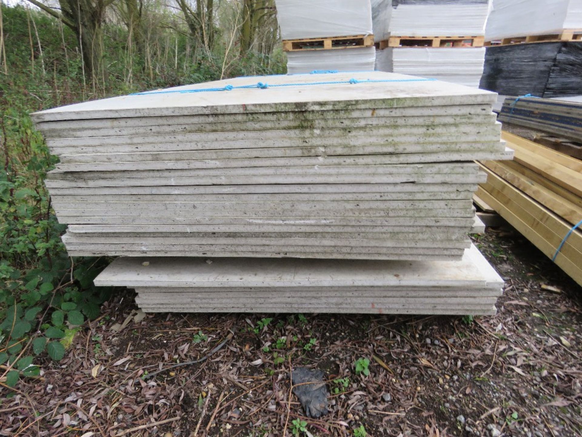 28NO COMPOSITE / PLASTIC COATED BOARDS 1.24M X 2.98M APPROX 24MM THICK. THIS LOT IS SOLD UNDER TH - Image 3 of 4