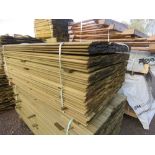 LARGE PACK OF TREATED SHIPLAP TIMBER CLADDING BOARDS. 1.55M LENGTH X 100MM WIDTH APPROX