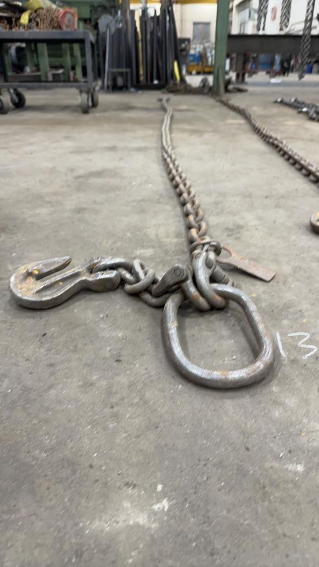 13ft Chain on Rigging Ring with Hoist Hooks