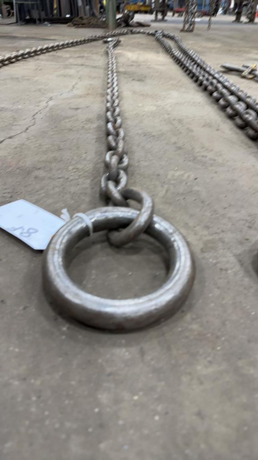 8ft Chain on Rigging Ring with Hoist Hook