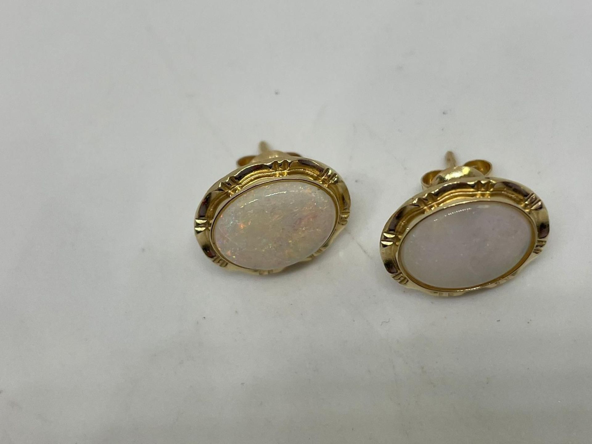 14 ct gold opal stud earrings - Image 2 of 2