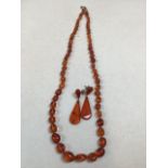 A string of amber beads Length 61cm with a pair of Amber drop earrings