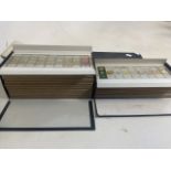 A large collection of Histology slides.