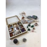 A quantity of mineral specimens, shells, carved mineral animals, musket balls and other items