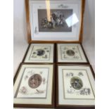 Five framed limited edition dog prints. W:77cm x H:60cm