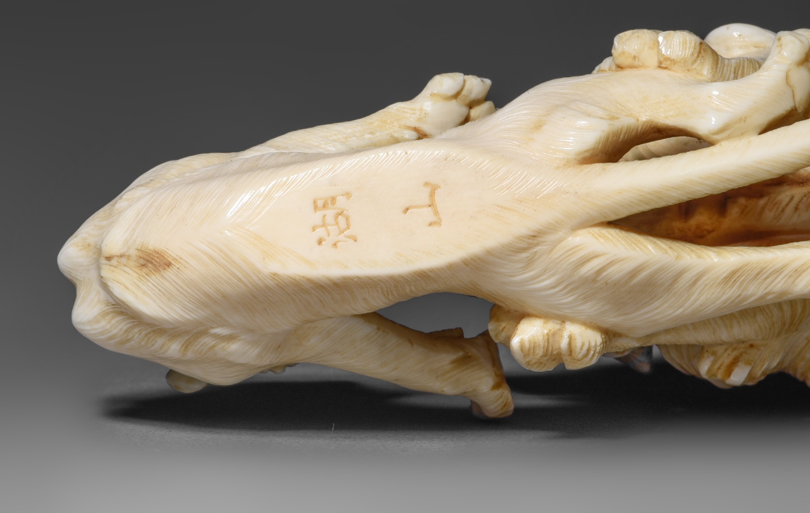 Two Japanese ivory okimono of wild animals, Edo/Meiji period, 144g - 156g (+) - Image 15 of 15