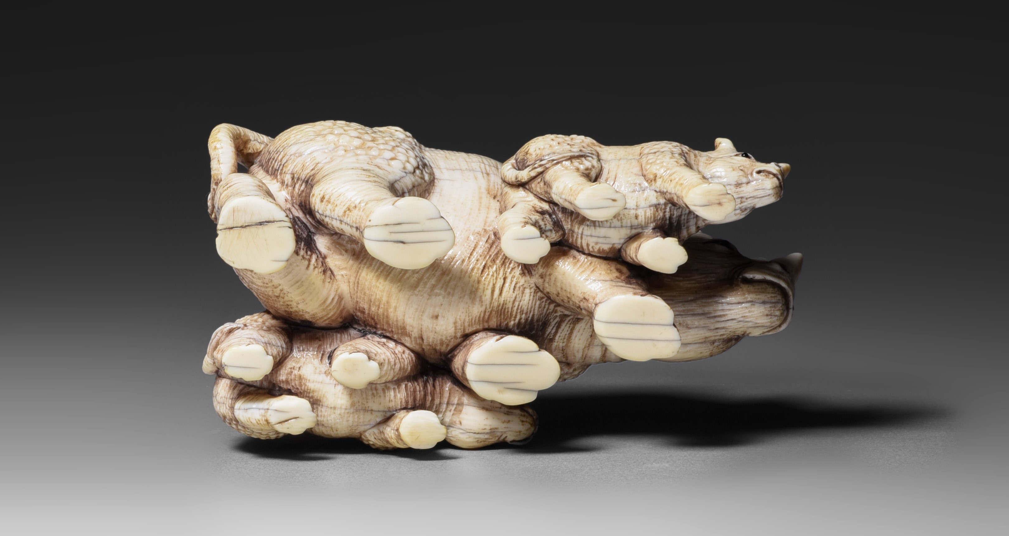 Two Japanese ivory okimono of wild animals, Edo/Meiji period, 144g - 156g (+) - Image 8 of 15