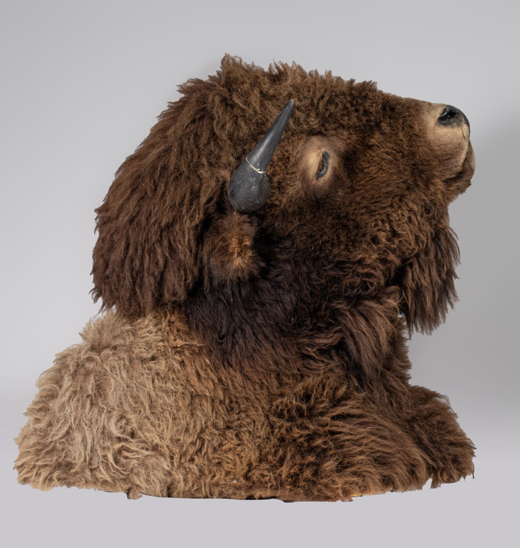 A taxidermic head of an American bison, H 90 cm - Image 7 of 9