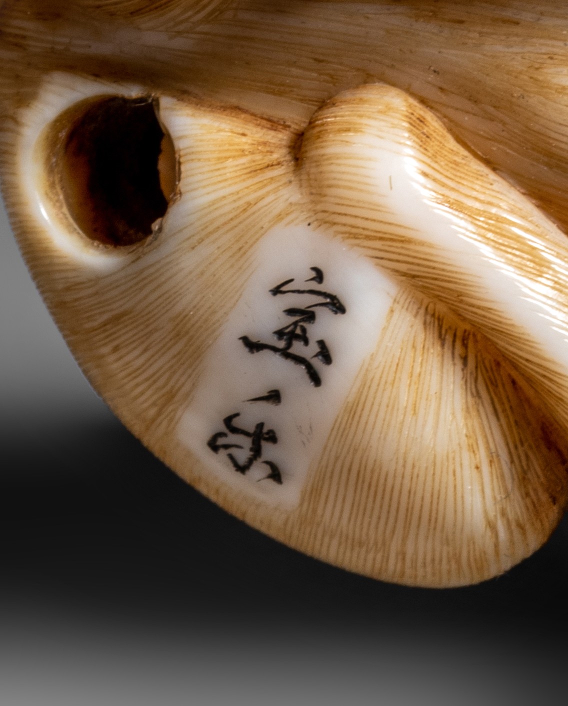 Three ivory okimono/netsuke of animals, 19thC, 15g - 23g - 5g (+) - Image 9 of 9