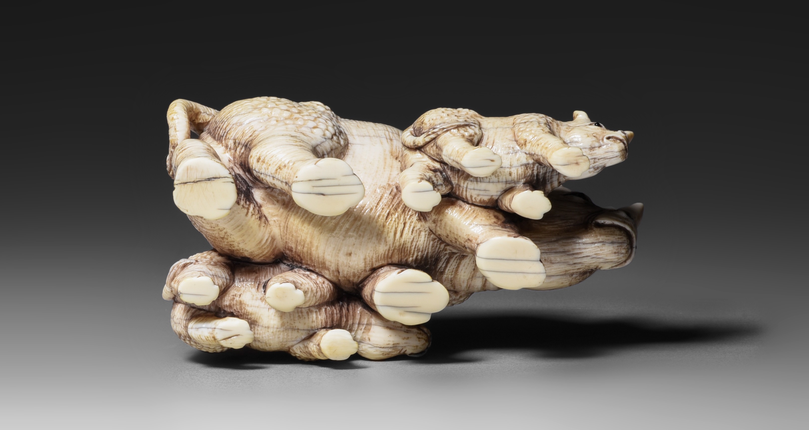 Two Japanese ivory okimono of wild animals, Edo/Meiji period, 144g - 156g (+) - Image 7 of 15