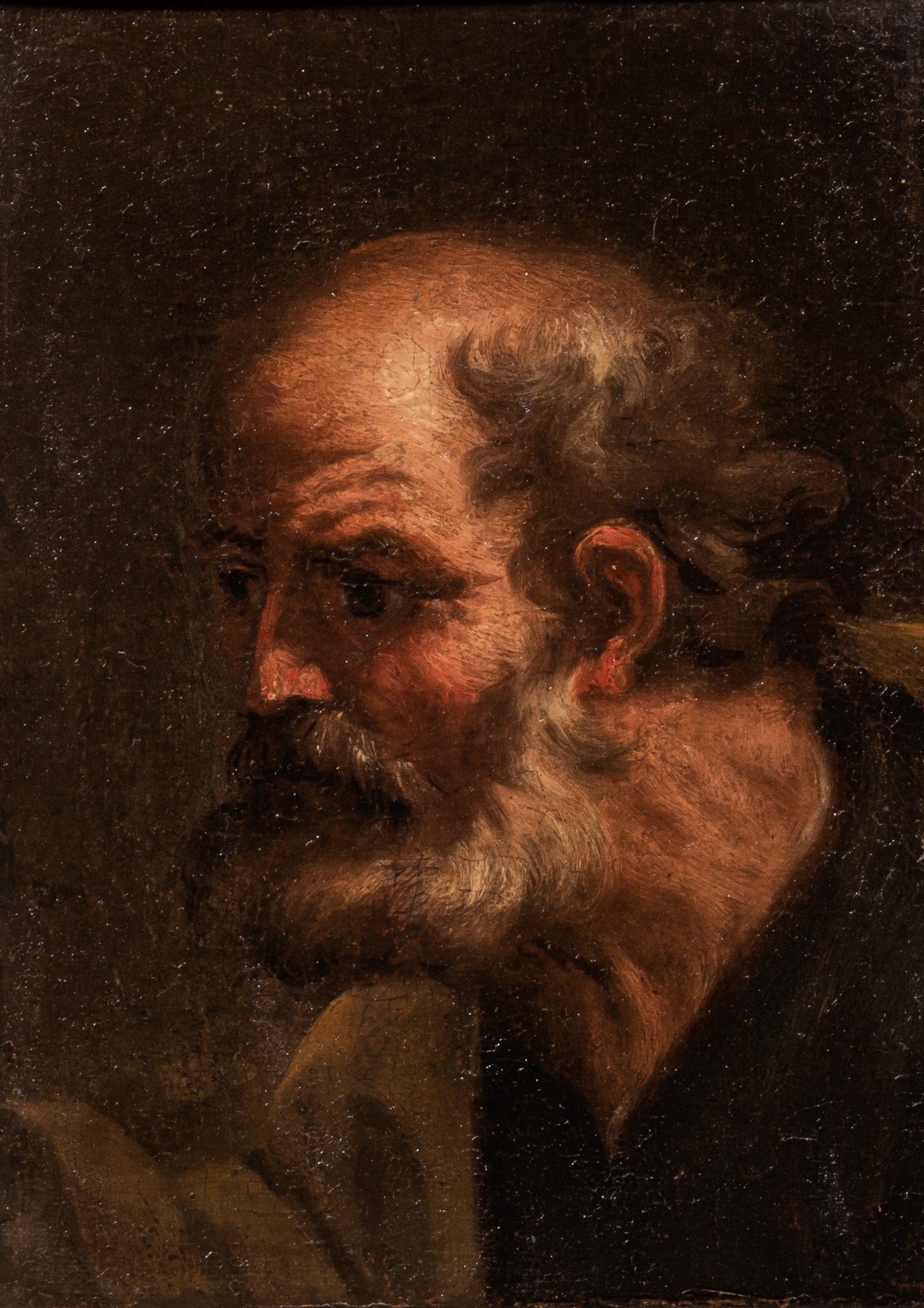 After Jacob Jordaens (1593-1678), the head of a bearded man, possibly an apostle, 17thC, oil on canv