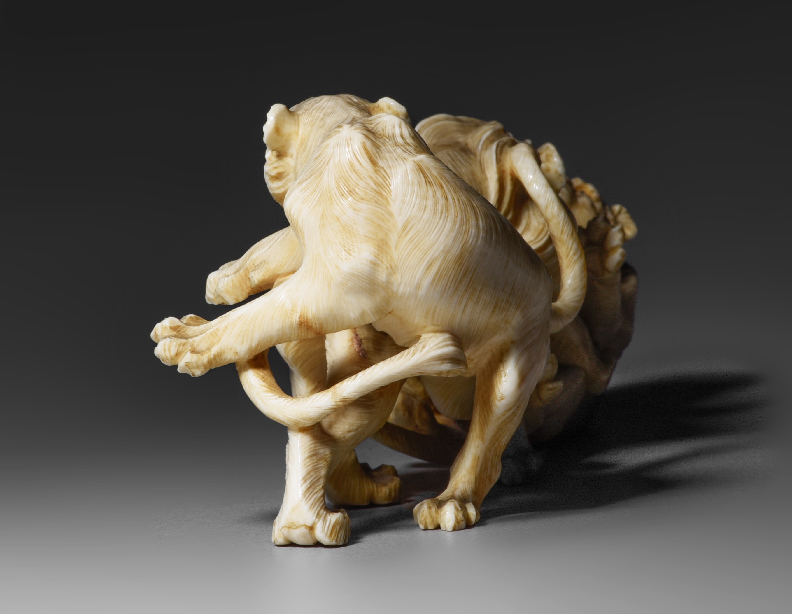 Two Japanese ivory okimono of wild animals, Edo/Meiji period, 144g - 156g (+) - Image 10 of 15