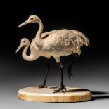 A Japanese Meiji-period ivory okimono depicting a pair of cranes, H 14 cm - 488 g (+)