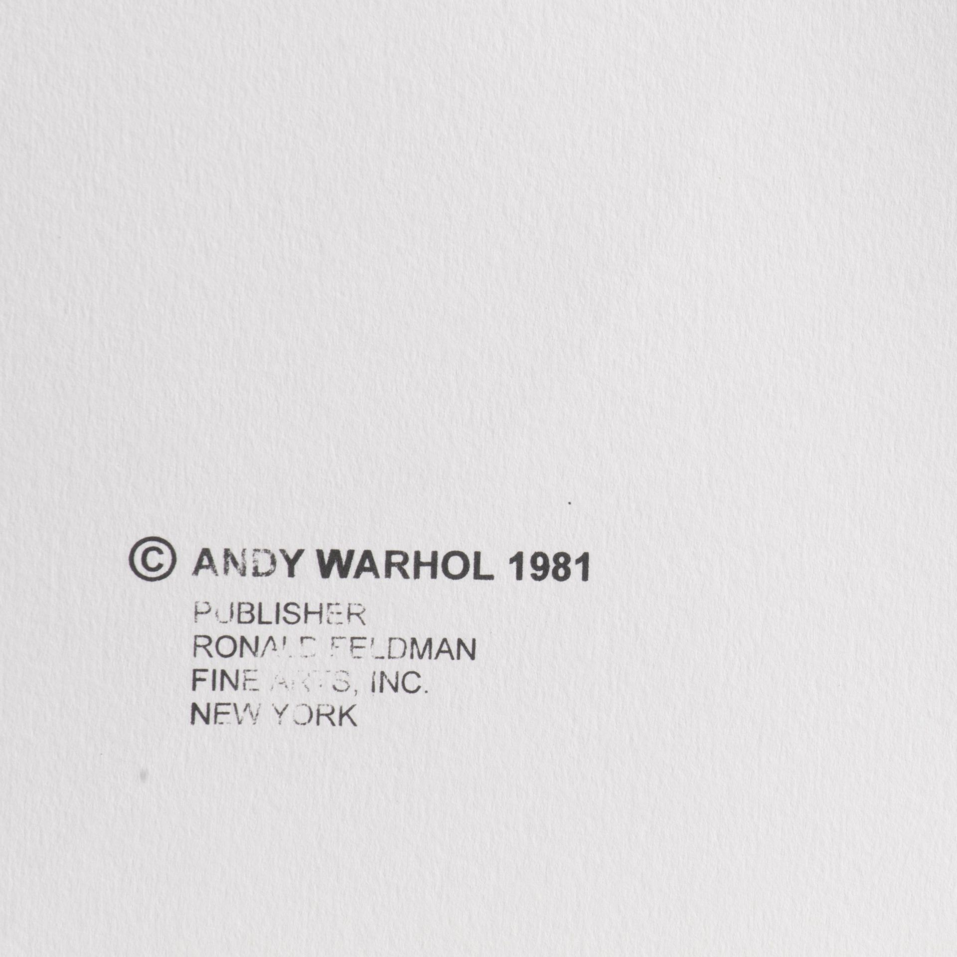 Andy Warhol (1928-1987), Myths, Suite of 10 color screenprints with diamond dust, on Lennox Museum B - Bild 31 aus 31