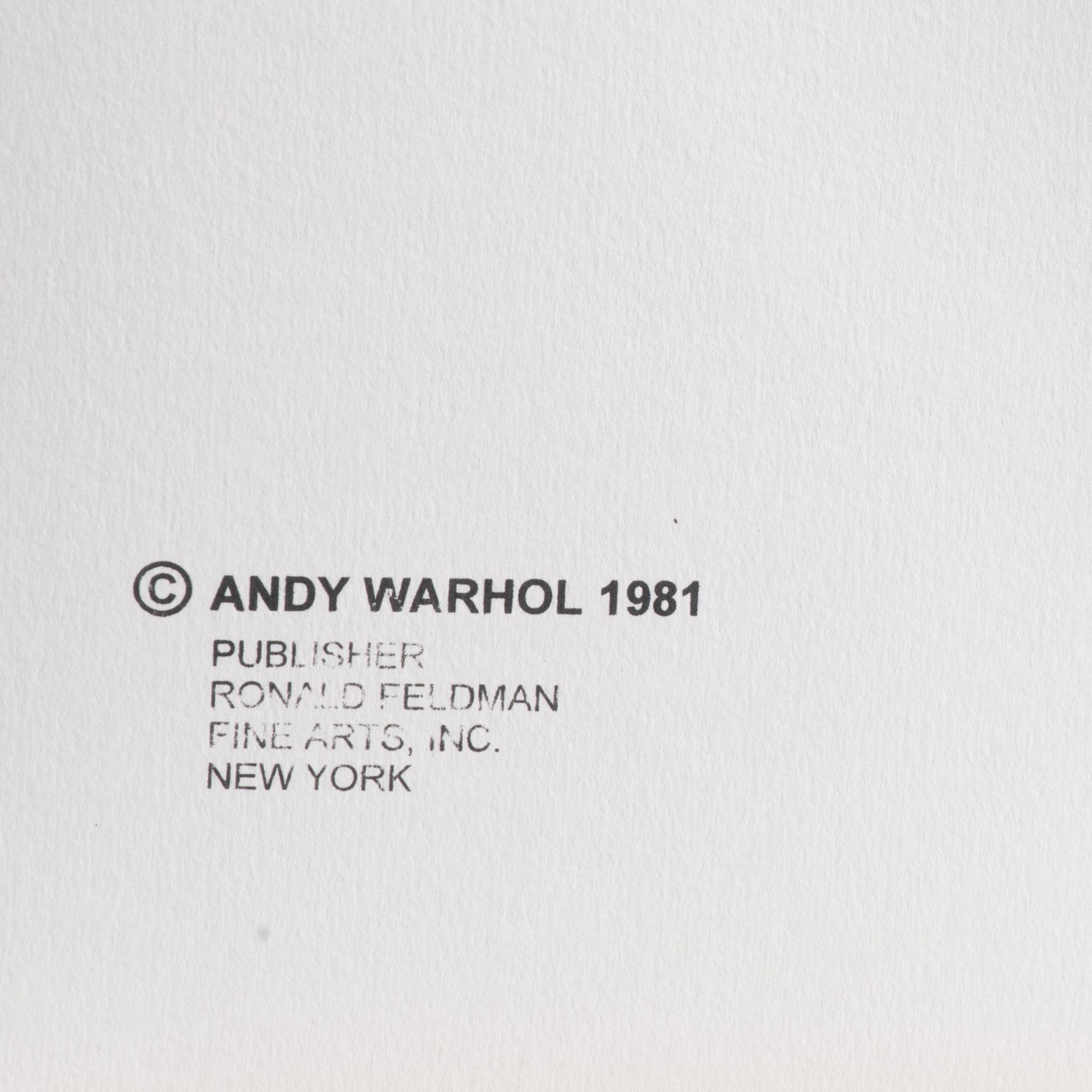 Andy Warhol (1928-1987), Myths, Suite of 10 color screenprints with diamond dust, on Lennox Museum B - Bild 25 aus 31