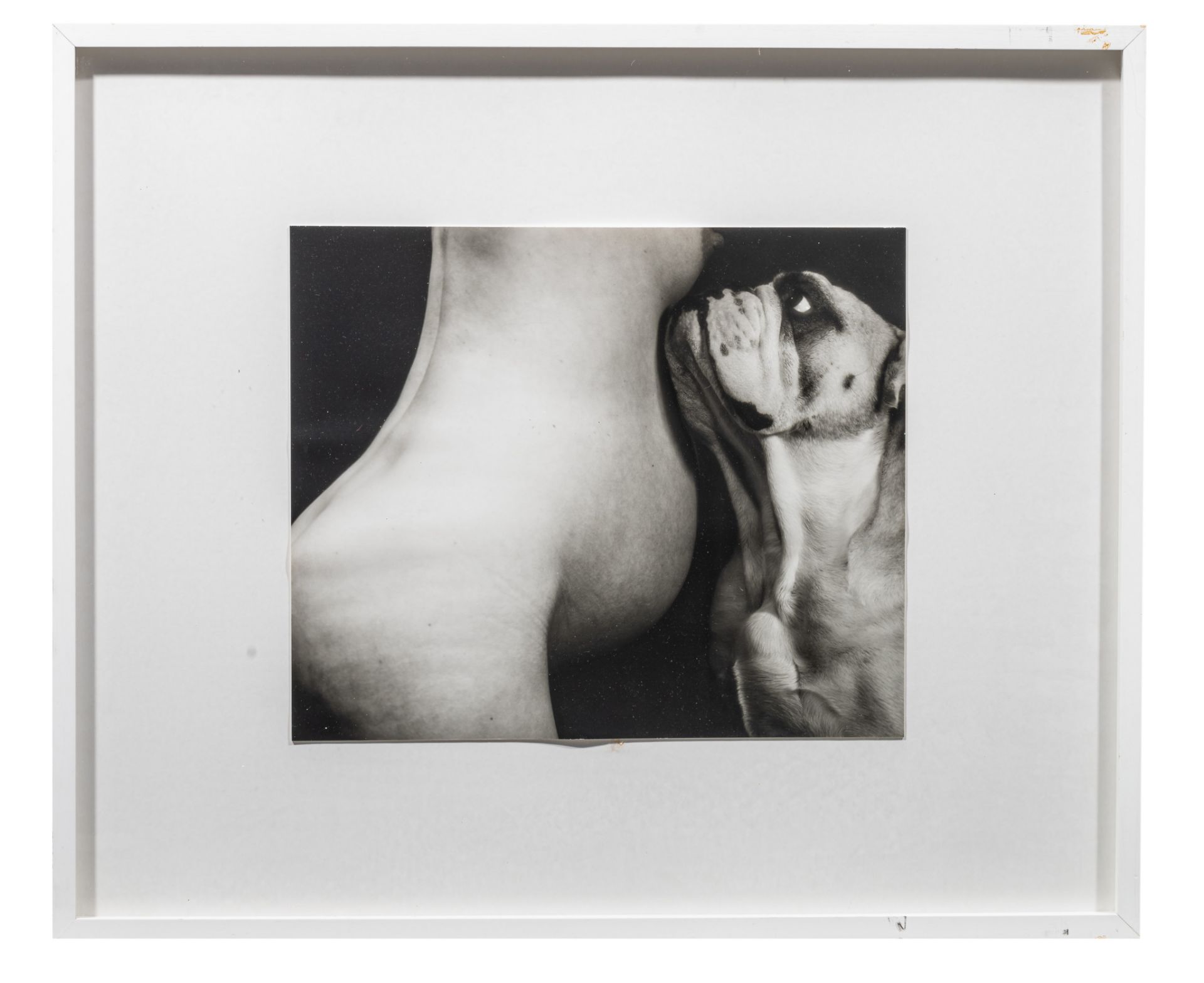 Oleg Kulik (1961), 'Voyeur 2', 2000 ed. 1/6, Iris print 30 x 39 cm. (11.8 x 15.3 in.), Frame: 55 x 6 - Bild 2 aus 3
