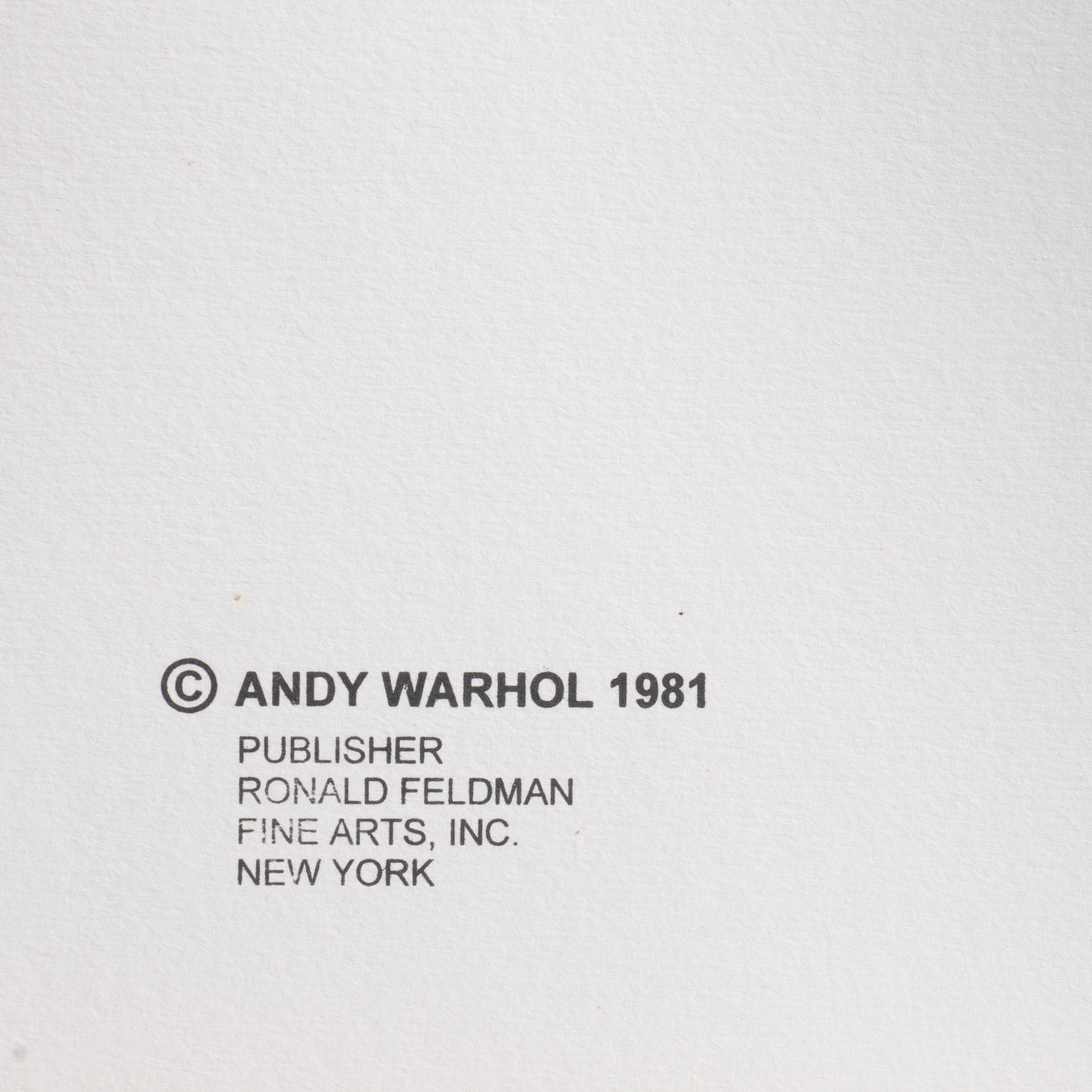 Andy Warhol (1928-1987), Myths, Suite of 10 color screenprints with diamond dust, on Lennox Museum B - Image 13 of 31