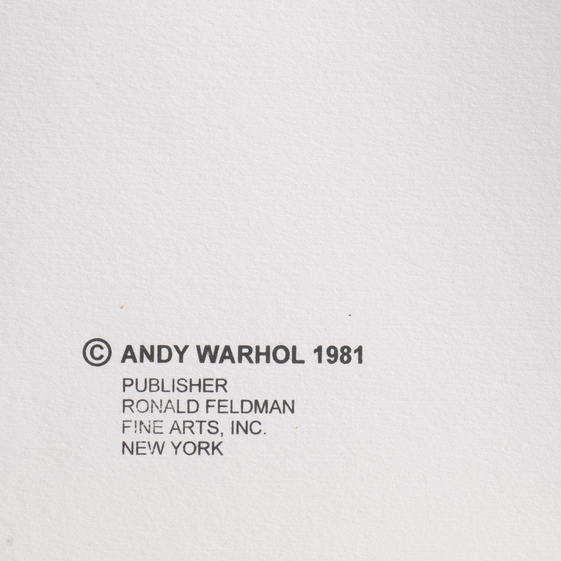 Andy Warhol (1928-1987), Myths, Suite of 10 color screenprints with diamond dust, on Lennox Museum B - Bild 13 aus 31