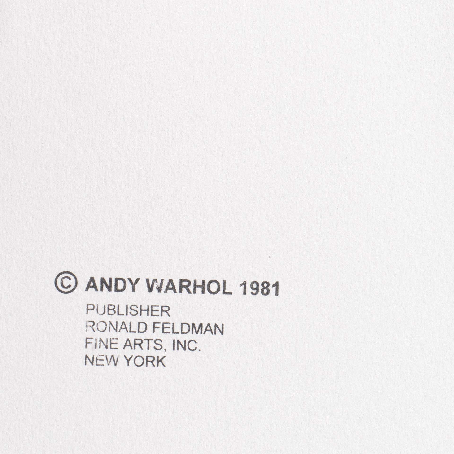Andy Warhol (1928-1987), Myths, Suite of 10 color screenprints with diamond dust, on Lennox Museum B - Bild 10 aus 31
