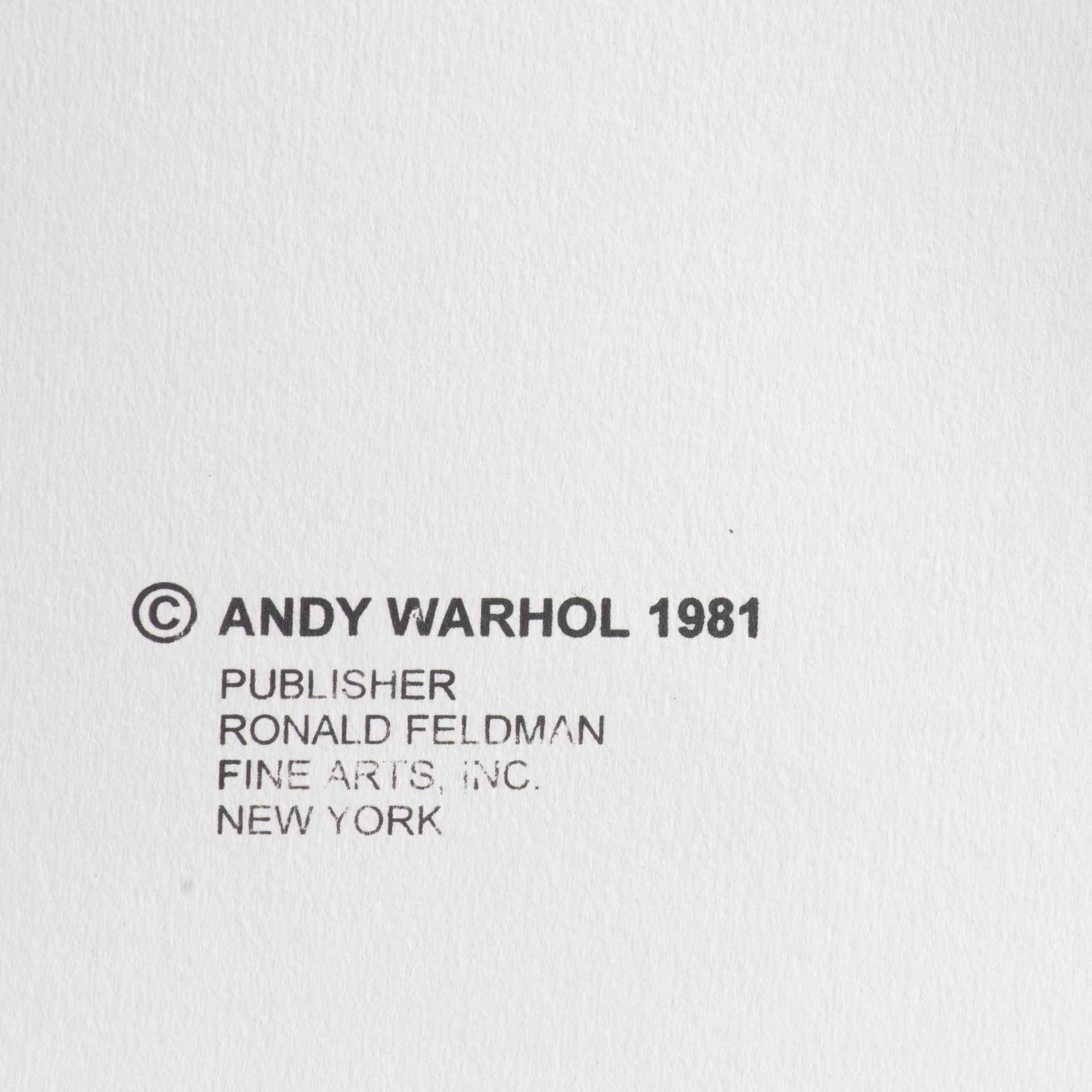 Andy Warhol (1928-1987), Myths, Suite of 10 color screenprints with diamond dust, on Lennox Museum B - Bild 28 aus 31